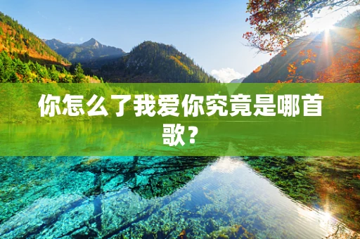 你怎么了我爱你究竟是哪首歌？
