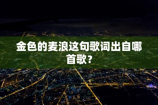 金色的麦浪这句歌词出自哪首歌？