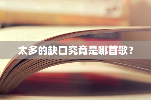 太多的缺口究竟是哪首歌？