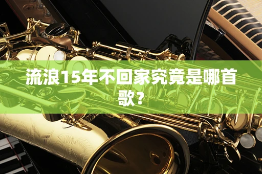 流浪15年不回家究竟是哪首歌？