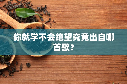 你就学不会绝望究竟出自哪首歌？