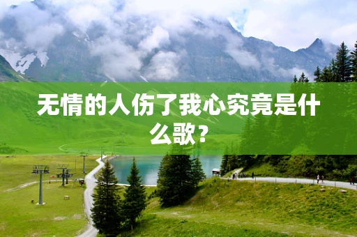 无情的人伤了我心究竟是什么歌？
