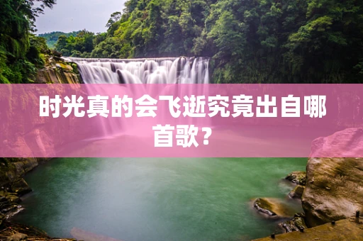 时光真的会飞逝究竟出自哪首歌？