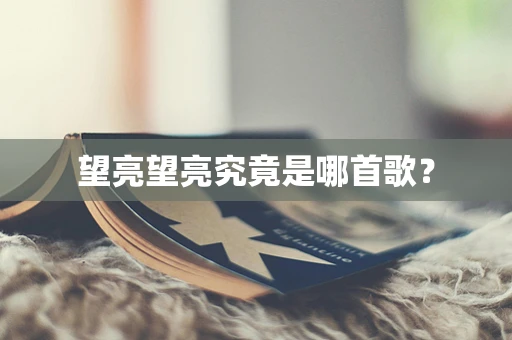 望亮望亮究竟是哪首歌？