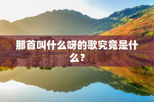 那首叫什么呀的歌究竟是什么？