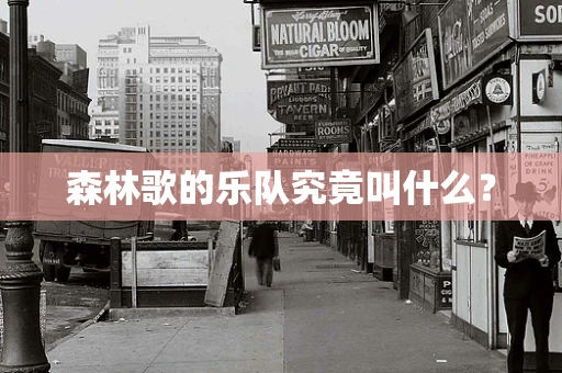 森林歌的乐队究竟叫什么？