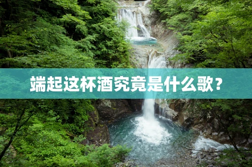 端起这杯酒究竟是什么歌？
