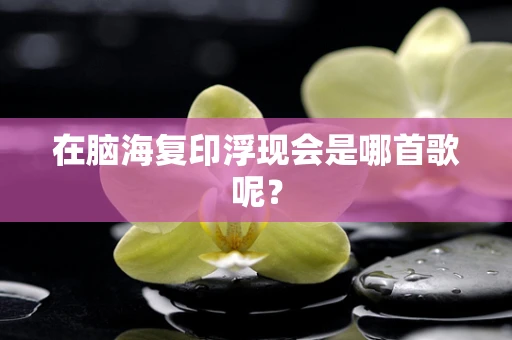 在脑海复印浮现会是哪首歌呢？