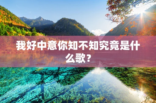 我好中意你知不知究竟是什么歌？