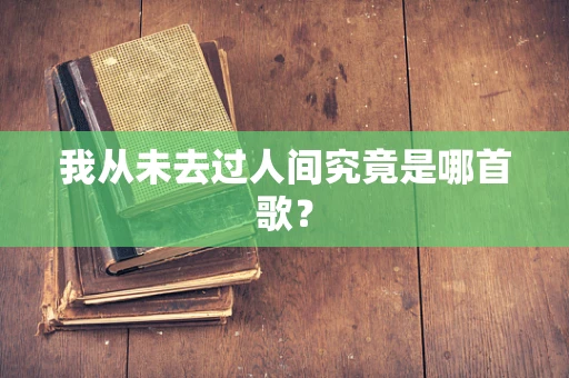 我从未去过人间究竟是哪首歌？