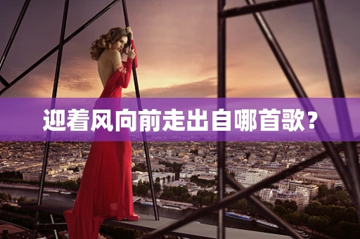 迎着风向前走出自哪首歌？