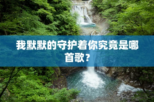 我默默的守护着你究竟是哪首歌？