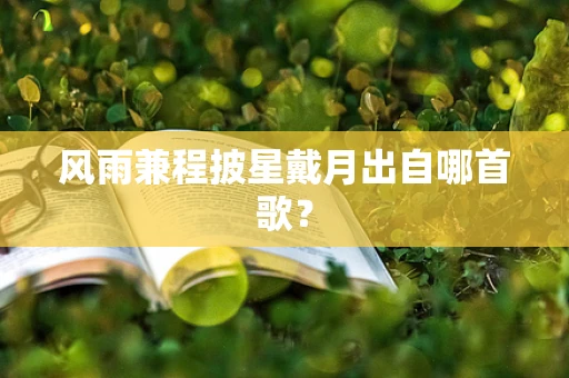 风雨兼程披星戴月出自哪首歌？