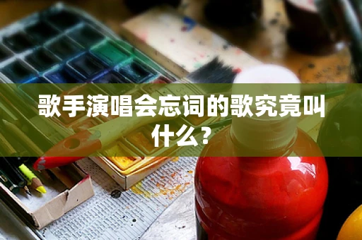 歌手演唱会忘词的歌究竟叫什么？