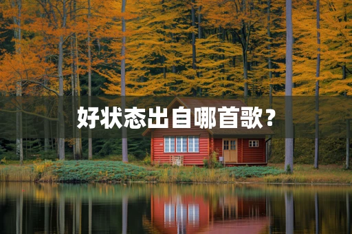 好状态出自哪首歌？