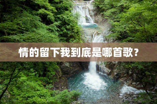 情的留下我到底是哪首歌？