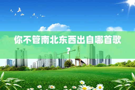 你不管南北东西出自哪首歌？