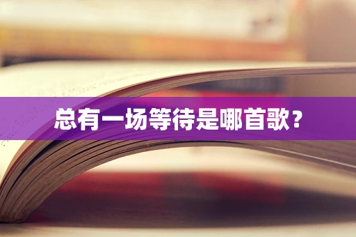 总有一场等待是哪首歌？