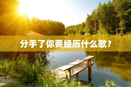 分手了你要经历什么歌？