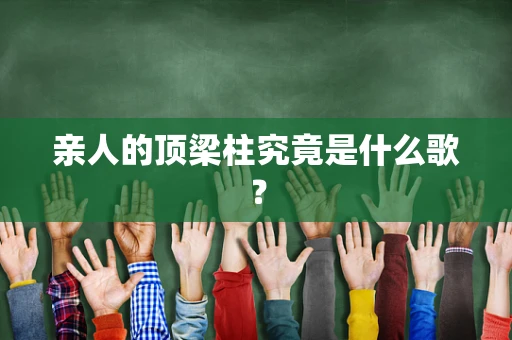 亲人的顶梁柱究竟是什么歌？