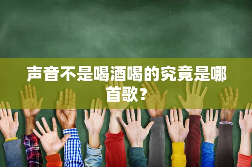 声音不是喝酒喝的究竟是哪首歌？