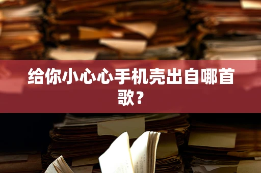 给你小心心手机壳出自哪首歌？