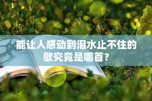 能让人感动到泪水止不住的歌究竟是哪首？