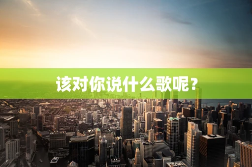 该对你说什么歌呢？