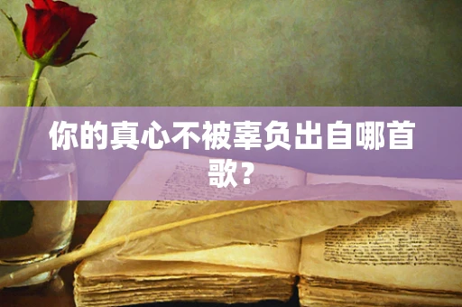 你的真心不被辜负出自哪首歌？