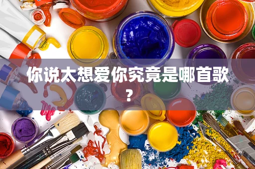 你说太想爱你究竟是哪首歌？