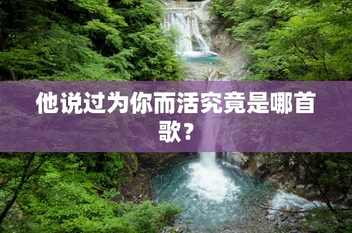 他说过为你而活究竟是哪首歌？