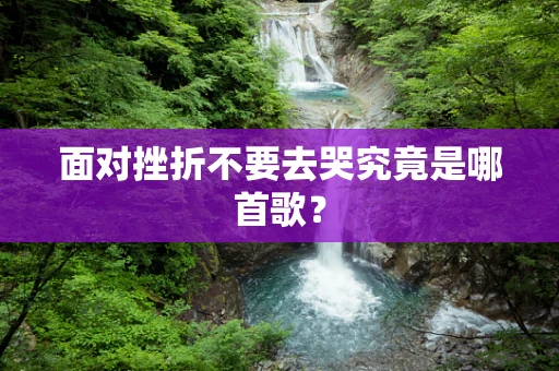 面对挫折不要去哭究竟是哪首歌？
