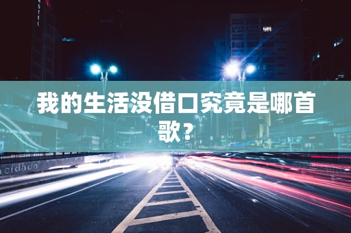 我的生活没借口究竟是哪首歌？