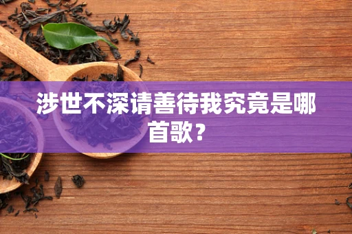 涉世不深请善待我究竟是哪首歌？