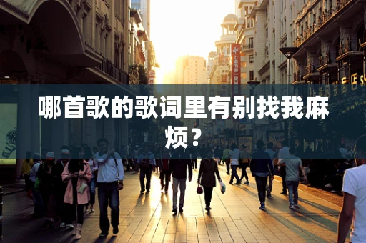 哪首歌的歌词里有别找我麻烦？