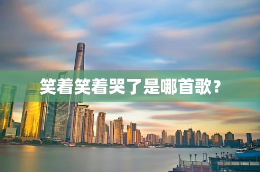 笑着笑着哭了是哪首歌？