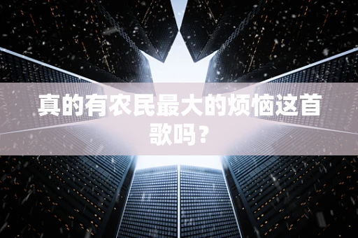 真的有农民最大的烦恼这首歌吗？