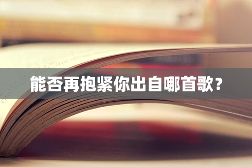 能否再抱紧你出自哪首歌？
