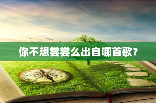 你不想尝尝么出自哪首歌？