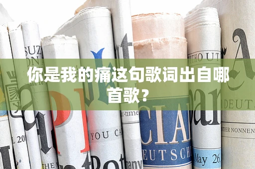 你是我的痛这句歌词出自哪首歌？