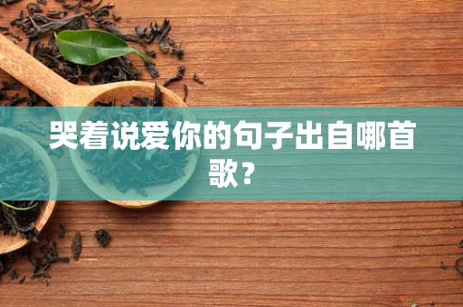 哭着说爱你的句子出自哪首歌？