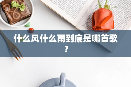 什么风什么雨到底是哪首歌？