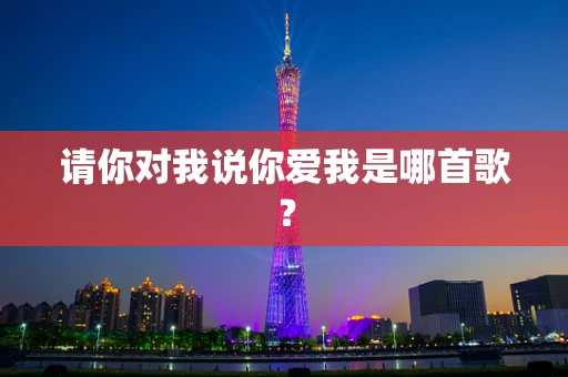 请你对我说你爱我是哪首歌？