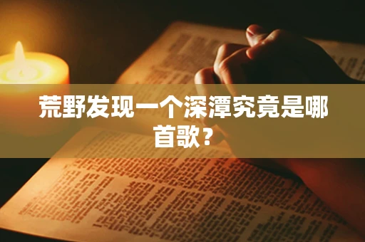 荒野发现一个深潭究竟是哪首歌？