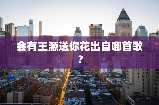 会有王源送你花出自哪首歌？