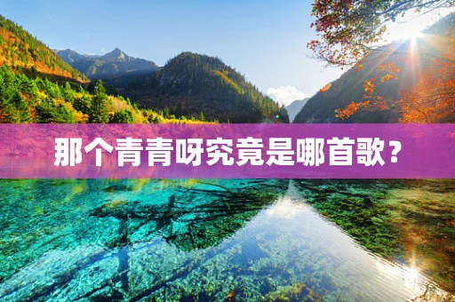 那个青青呀究竟是哪首歌？