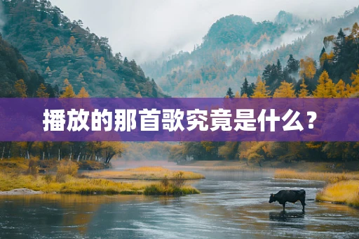 播放的那首歌究竟是什么？