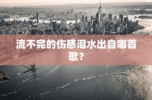 流不完的伤感泪水出自哪首歌？