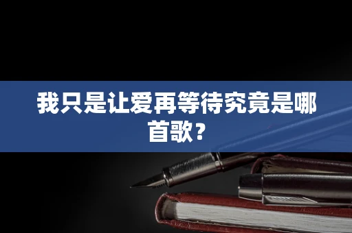我只是让爱再等待究竟是哪首歌？