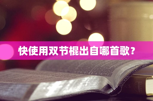 快使用双节棍出自哪首歌？